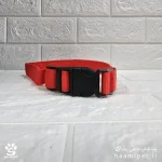 خرید قلاده سگ مدل چراغدار سایز L رنگ قرمز مخصوص سگ نژاد متوسط از پت شاپ سگ حامی پت