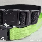 خرید قلاده سگ مدل چراغ دار رنگ مشکی مخصوص سگ نژاد کوچک از پت شاپ آنلاین حامی پت