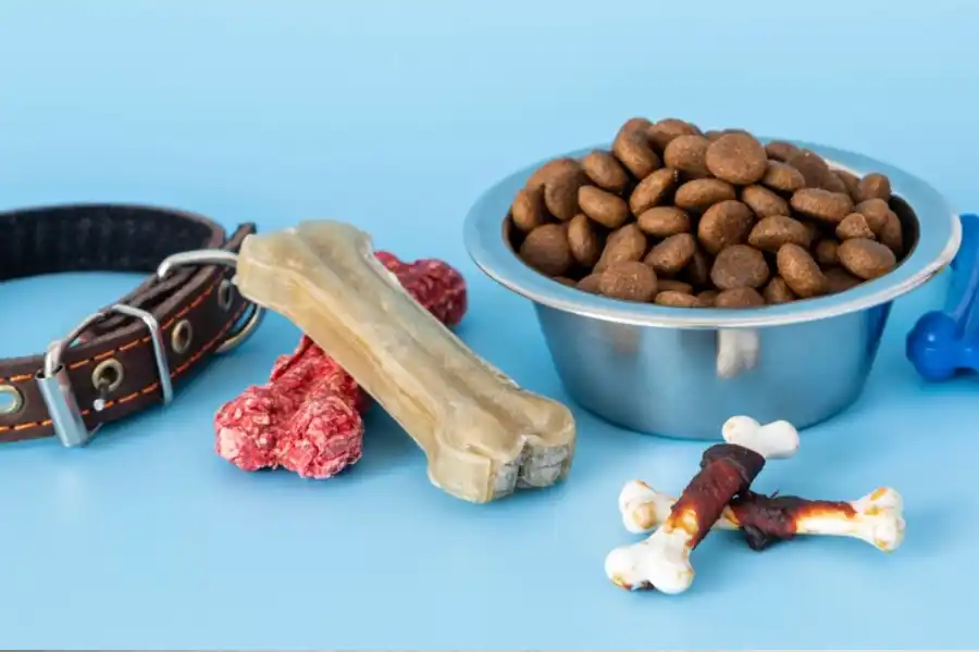 خوراکی تشویقی سگ - غذای تشویقی سگ - بهترین غذای سگ - پت شاپ حامی پت