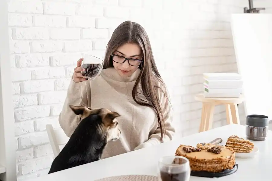 غذاهای نامناسب و خطرناک برای سگ - بهترین غذای سگ - پت شاپ حامی پت