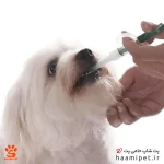 خرید قرص خوران سگ از پت شاپ حامی پت