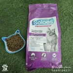 خرید غذای خشک گربه بالغ سولوئز وزن ۲ کیلوگرم از پت شاپ حامی پت