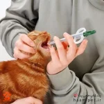 خرید قرص خوران گربه از پت شاپ حامی پت