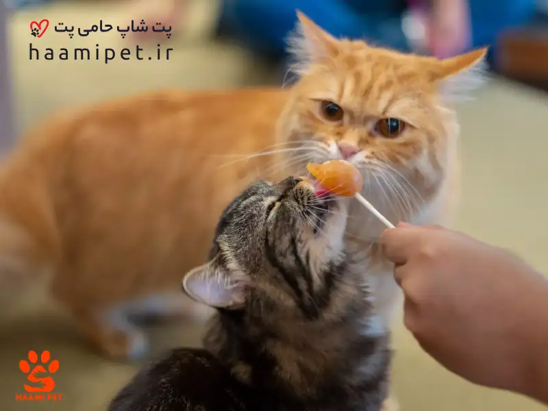 استفاده از غذا و تشویقی‌ها