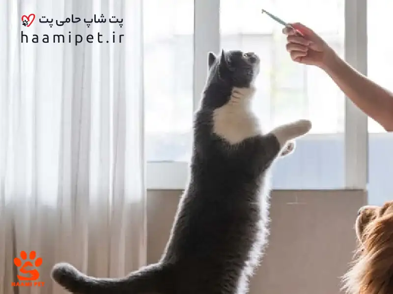 اصلاح رفتار های نامناسب