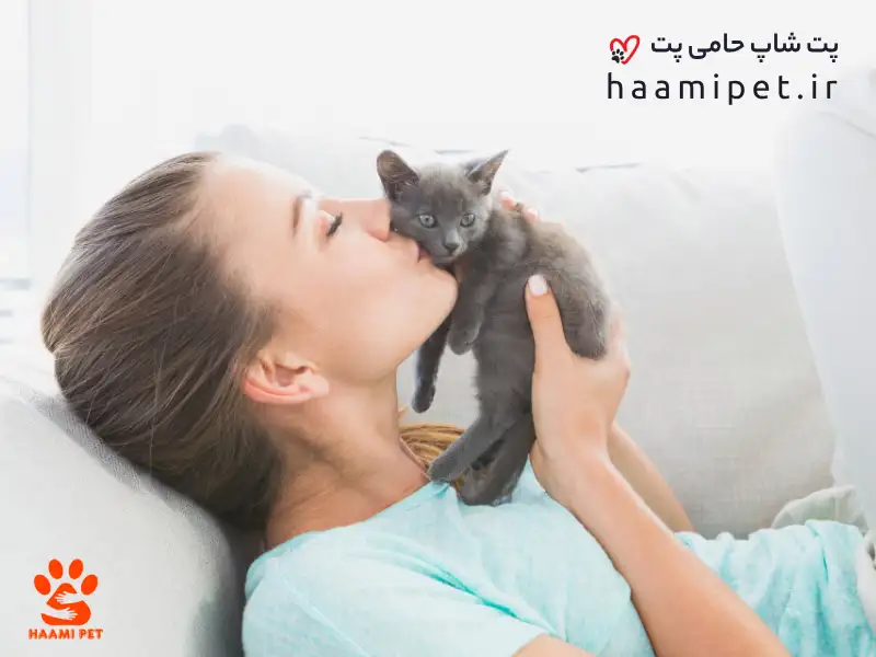 اجتماعی کردن بچه گربه
