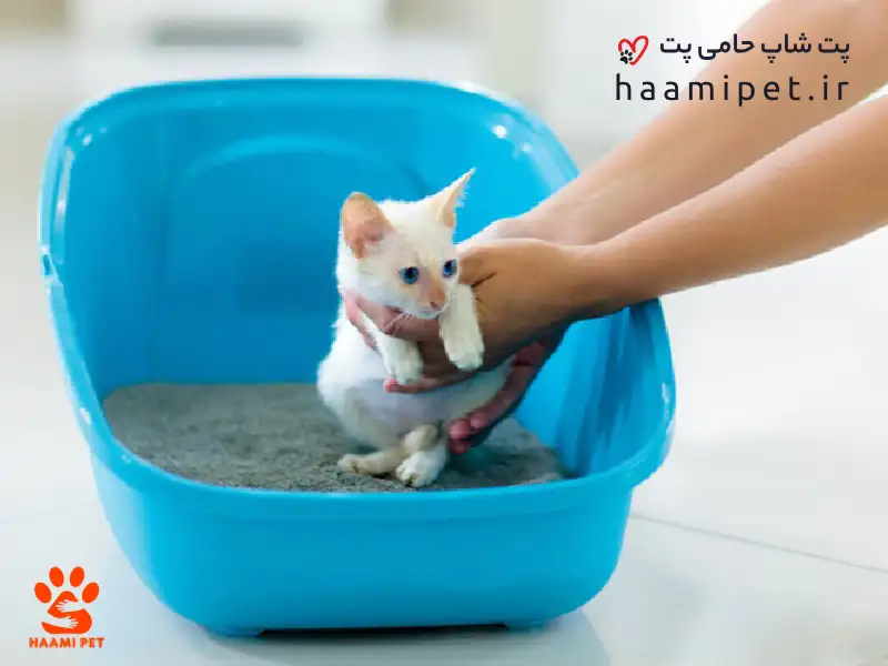 آموزش استفاده از ظرف خاک