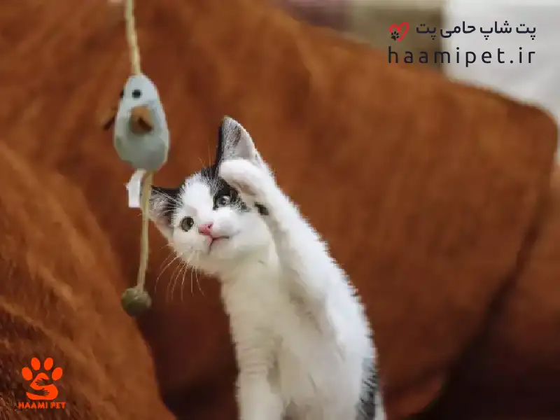 جلوگیری از رفتارهای مخرب