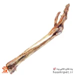 تشویقی سگ پای شترمرغ