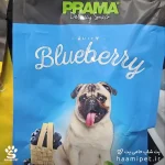 تشویقی مدادی سگ پراما با طعم بلوبری