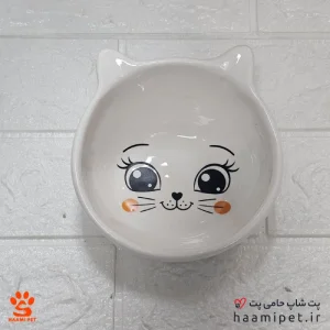 ظرف آب و غذا سگ و گربه سرامیکی بدون پایه طرح چشم گربه