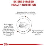 غذای خشک گربه رویال کنین گاسترواینتسشینال مدل کنترل کالری 2 کیلویی - Image 3