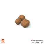 غذای خشک توله سگ جاینت رویال کنین