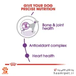 غذای سگ بالغ جاینت رویال کنین 15 کیلویی