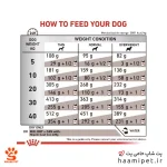 راهنمای مصرف غذای خشک سگ هپاتیک رویال کنین - پت شاپ سگ حامی پت