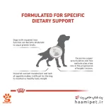 غذای خشک سگ هپاتیک رویال کنین 1.5