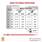 راهنمای مصرف غذای خشک سگ کاردیاک رویال کنین - پت شاپ سگ حامی پت