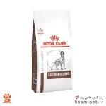 غذای خشک سگ گاسترو اینتستینال رویال کنین 2 کیلویی
