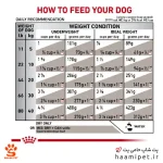 راهنمای مصرف غذای خشک سگ گاسترو اینتستینال رویال کنین - پت شاپ سگ حامی پت