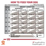 راهنمای مصرف غذای خشک سگ گاسترو لو فت رویال کنین - پت شاپ سگ حامی پت