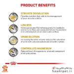 غذای خشک سگ یورینری اس او رویال کنین 2 کیلو