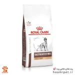 غذای خشک سگ گاسترو اینتستینال فایبر رویال کنین 2 کیلویی