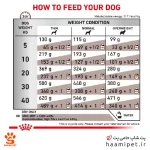 راهنمای مصرف غذای خشک سگ گاسترو اینتستینال فایبر رویال کنین - پت شاپ سگ حامی پت