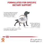 غذای خشک سگ گاسترو اینتستینال فایبر رویال کنین 2 کیلو