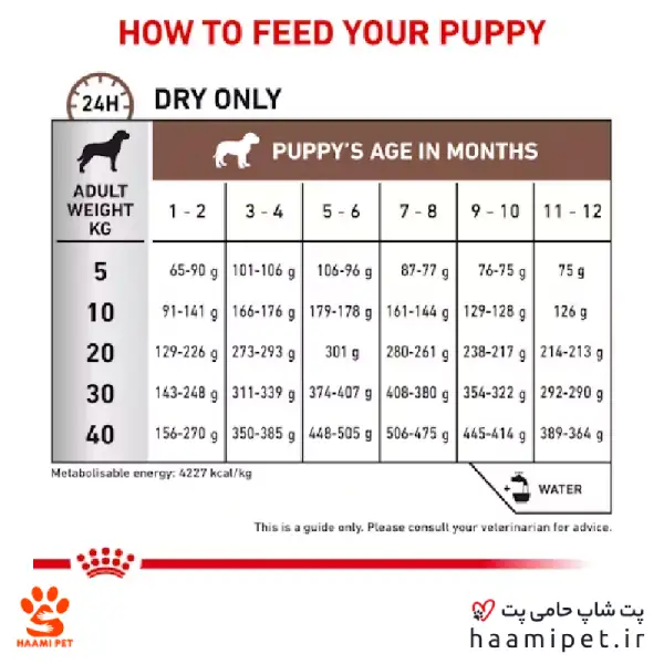 راهنمای مصرف غذای خشک توله سگ گاسترو اینتستینال رویال کنین - پت شاپ سگ حامی پت