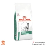 غذای خشک سگ ستایتی رویال کنین 1.5 کیلویی