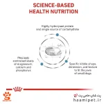 غذای خشک سگ نژاد کوچک هایپوآلرژیک رویال کنین 2 کیلو