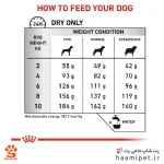 راهنمای مصرف غذای خشک سگ نژاد کوچک دنتال رویال کنین - پت شاپ سگ حامی پت