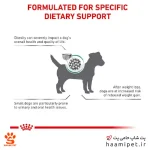 غذای خشک سگ نژاد کوچک ستایتی رویال کنین 1.5 کیلو