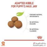 غذای خشک سگ مکسی پاپی رویال کنین