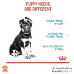 غذای خشک سگ مکسی پاپی رویال کنین 4 کیلو