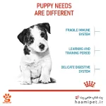 غذای خشک سگ مینی پاپی رویال کنین 4 کیلو