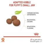 غذای خشک سگ مدیوم پاپی رویال کنین 4 کیلویی - Image 4