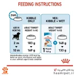 راهنمای مصرف غذای خشک سگ مدیوم پاپی رویال کنین - پت شاپ سگ حامی پت