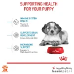 غذای خشک سگ مدیوم پاپی رویال کنین 4 کیلو