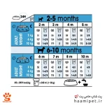 راهنمای مصرف غذای خشک سگ مینی ایندور پاپی رویال کنین - پت شاپ سگ حامی پت