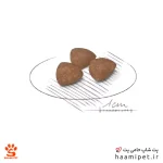 غذای خشک سگ مینی ایندور پاپی رویال کنین