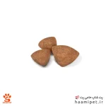 غذای خشک سگ ایکس اسمال پاپی رویال کنین