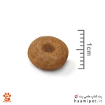 غذای خشک سگ مکسی استارتر رویال کنین