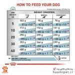 راهنمای مصرف غذای خشک سگ هایپوآلرژیک رویال کنین - پت شاپ سگ حامی پت