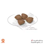 غذای خشک سگ مینی استارتر رویال کنین 4 کیلویی - Image 4