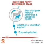 غذای خشک سگ مینی استارتر رویال کنین 4 کیلو