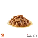 سوپ سگ مینی پاپی رویال کنین 85 گرم