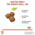 غذای خشک سگ جونیور جاینت رویال کنین