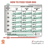 راهنمای مصرف غذای خشک سگ دیابتیک رویال کنین - پت شاپ سگ حامی پت