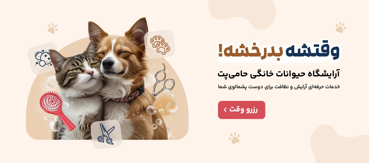 آرایشگاه حینوانات خانگی حامی پت